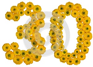 Arabic numeral 30, thirty, from yellow flowers of buttercup, iso