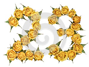 Arabic numeral 23, twenty three, from yellow flowers of rose, is