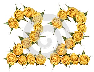 Arabic numeral 22, twenty two, from yellow flowers of rose, isolated on white background