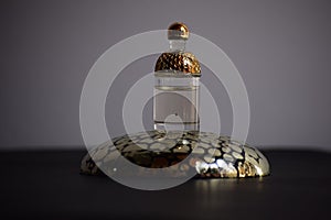 arabic oud perfume bottle against a dark backdrop