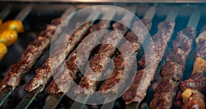 Arabic traditional food kufta on the grill. traditional food