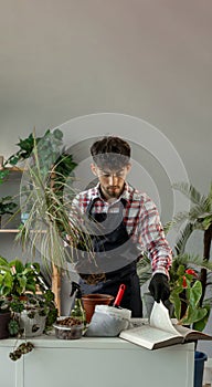 Arabic young man working at home garden reading old book. Transplanting into a new flower pot, the florist doing loves