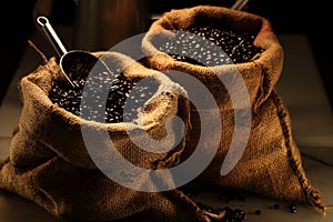 Arabica Coffee img