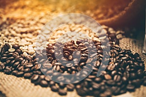 Arabica coffee bean vintage tone