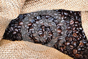 Arabica coffee beans