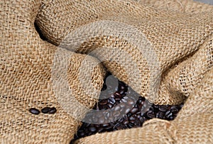 Arabica coffee beans