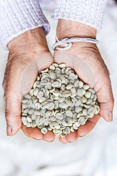 Arabica green bean coffee unroasted in old hand