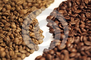 Arabica and robusta coffee beans photo