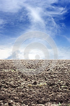 Arable field