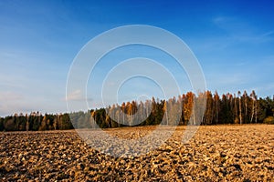 Arable field in autumn, agriculture in the countryside