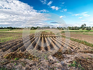 Arable field