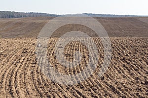 Arable field. Plowed agricultural arable land.