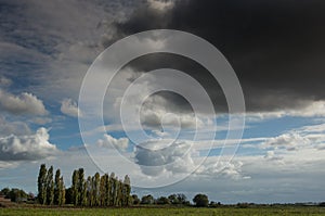 Arable field and poplars beneath a shower