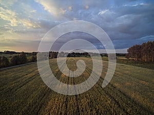 Arable fields seen from above, agriculture