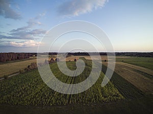 Arable fields seen from above, agriculture