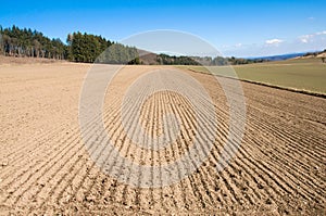 Arable land and forest.