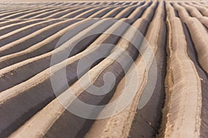 Arable land, furrows texture background. Agriculture, rural farming, field on farm, arable, soil, countryside, agronomy