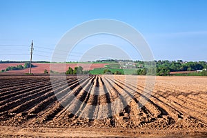 Arable land in the lowlands. Agricultural work.