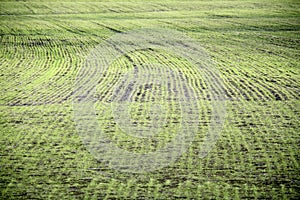 Arable land after the melting snow