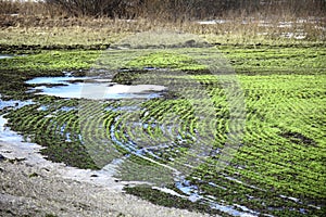 Arable land after the melting snow