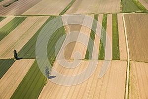 Arable land in Voijvodina photographed from air