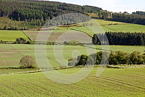 Arable landscape near Drumderfit