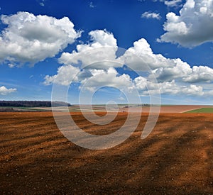 arable agrarian landscape of the springtime