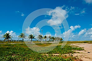 Aracaju - Sergipe