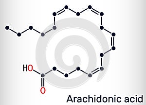 Arachidonic acid, AA, ARA molecule. It is unsaturated omega-6 fatty acid, is precursor in biosynthesis of prostaglandins,