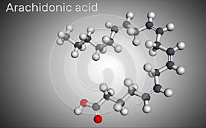 Arachidonic acid, AA, ARA molecule. It is unsaturated omega-6 fatty acid, is precursor in biosynthesis of prostaglandins,