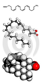 Arachidonic acid (AA, ARA) polyunsaturated omega-6 fatty acid molecule