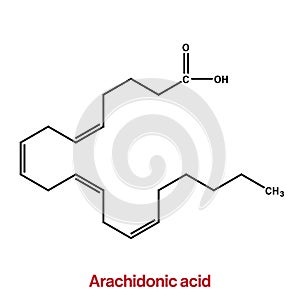 Arachidonic Acid Molecular Structure Vector Illustration.