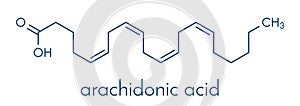 Arachidonic acid molecule. Polyunsaturated omega-6 fatty acid that is a precursor of prostaglandins, prostacyclin, thromboxanes,.