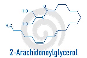 2-Arachidonoylglycerol 2-AG endocannabinoid neurotransmitter molecule. Skeletal formula. photo