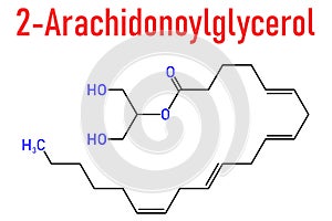2-Arachidonoylglycerol 2-AG endocannabinoid neurotransmitter molecule. Skeletal formula. photo