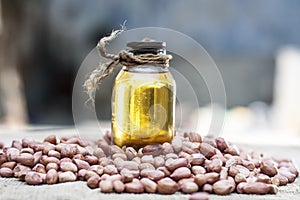 [Arachis hypogaea] Raw Groundnut in a clay bowl with groundnut oil on a gunny background.