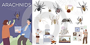Arachnids Insect Compositions Set