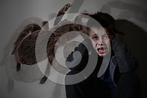 Arachnophobia. Double exposure of scared little boy and spider