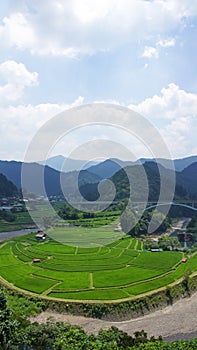 Aragijima Terraced Rice Field in Wakayama, Japan