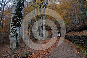 Aragonese Pyrenees in autumn