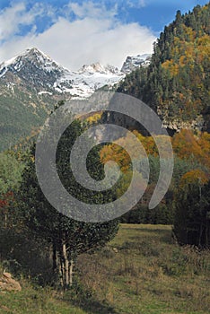 Aragonese Pyrenees in autumn photo