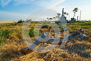 Arahama Coastal Landscapes Sendai, Miyagi Prefecture photo