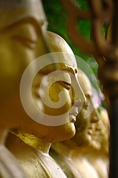 Arahant statues standing in a row.