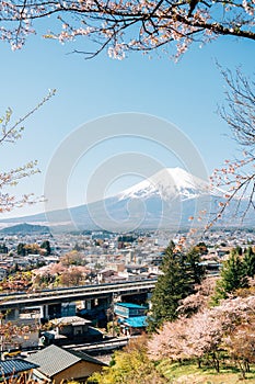 Arakurayama Sengen Park and Fuji Mountain, Shimoyoshida city view with cherry blossoms in Yamanashi, Japan photo