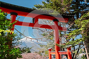 Arakurayama Sengen Park Shrine Torii gate and Fuji Mountain at spring in Yamanashi, Japan photo