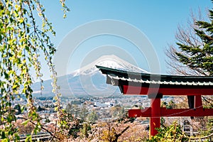 Arakurayama Sengen Park Shrine Torii gate and Fuji Mountain at spring in Yamanashi, Japan photo