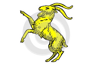 Araldic logo representing a goat rampant