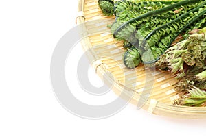 Aralia Sprout and Ostrich fern on a bamboo colander