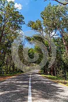 Araluen bush land in Perth, Western Australia