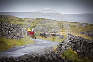 Aran Islands Horse Carts photo